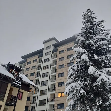 Lu * Zlatibor